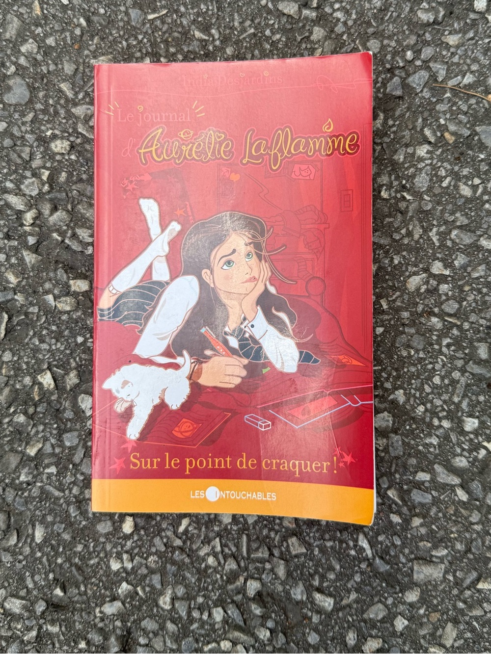 Le journal d’Aurélie Laflamme - #2